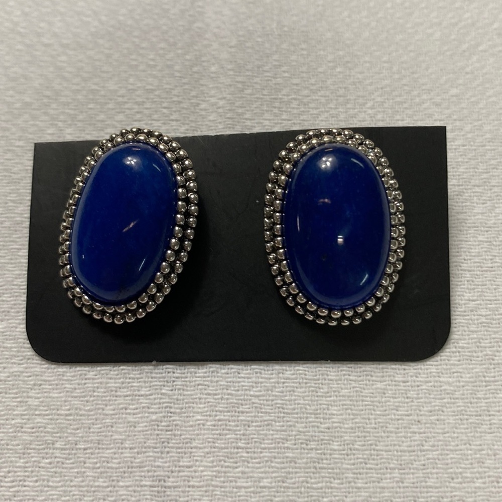Blue and Silver Post Earrings (BQ)